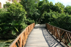 Bridge Over Cenotes